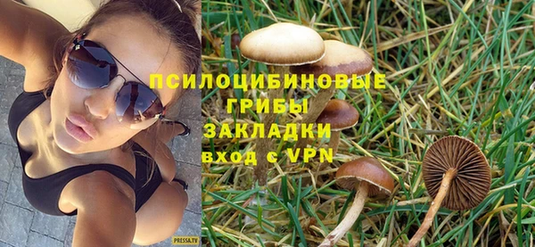 таблы Алексеевка