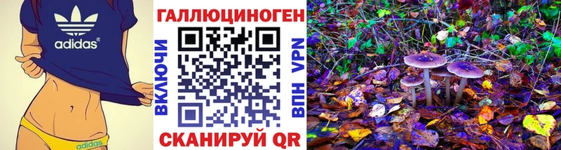 Псилоцибиновые грибы Psilocybine cubensis  Чёрмоз 